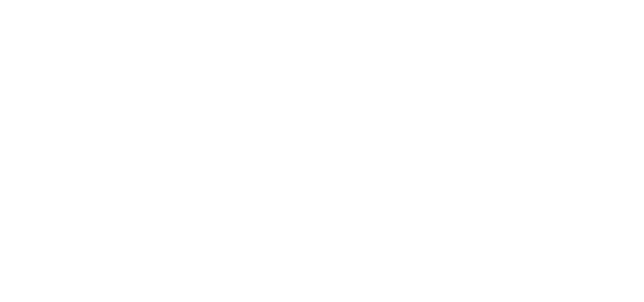 Logo of Vlaamse Vereniging Autisme